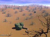 Desert - Visualparadox